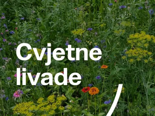 Grad Zagreb ᶠ: Više cvijeća, više života u gradu.