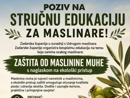 Zadarska županija ᶠ: Stručno predavanje i radionica o zaštiti od maslinine muhe