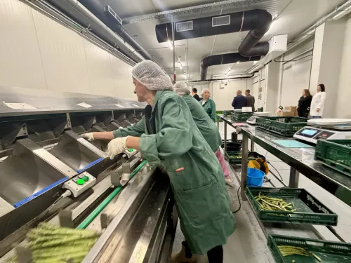 Vukovarsko-srijemska županija ᶠ: Agrotehnološki centar doo za skladištenje i doradu povrtlarskih ...