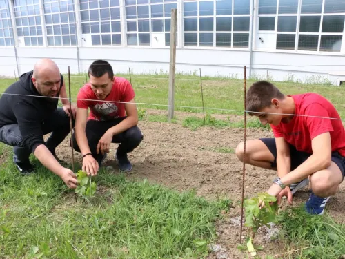 Virovitičko-podravska županija ⓕ: Srednja škola Stjepan Ivšić Orahovica od rujna započinje s novim ...