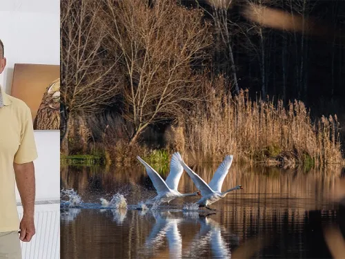 Virovitičko-podravska županija ᶠ: Odabrane su fotografije fotografskog natječaja »Volim svoju županiju« ...