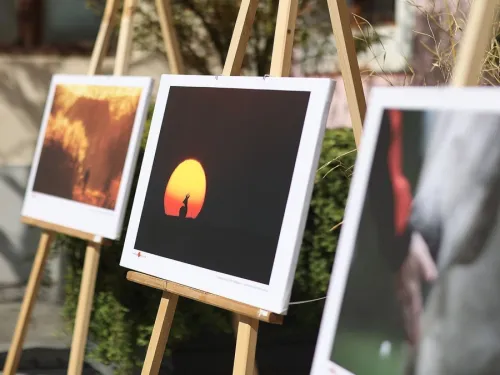 Koprivničko-križevačka županija: Glasanje publike za najbolju fotografiju foto natječaja »Volim svoju županiju« je otvoreno